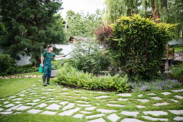 Best Pest Removal Services  in Coraopolis, PA
